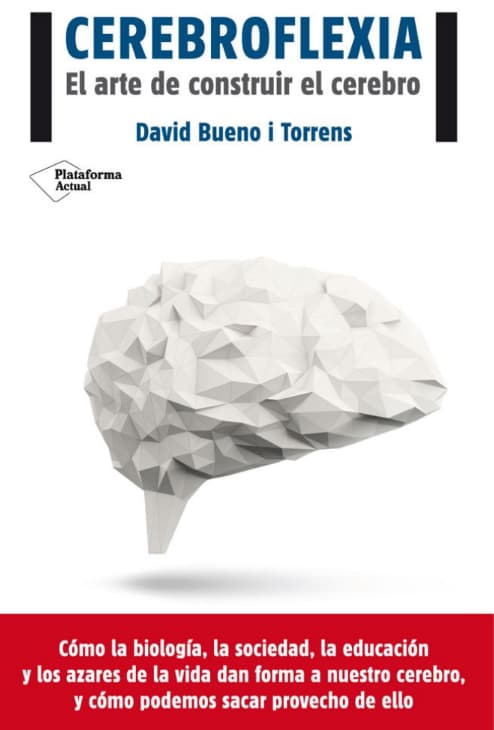 Cerebroflexia: El arte de construir el cerebro